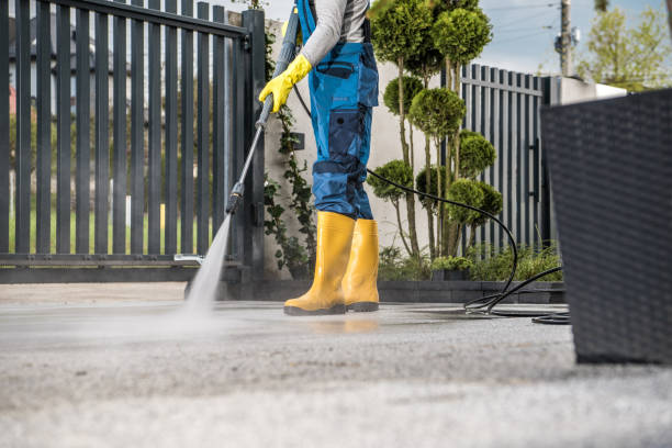 Best Affordable Pressure Washing  in Wentworth, NC