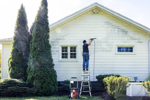 Best Pressure Washing Estimates  in Wentworth, NC